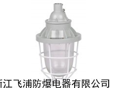 BAD52系列隔爆型防爆燈,隔爆型防爆燈廠家_供應(yīng)產(chǎn)品_浙江飛浦防爆電器