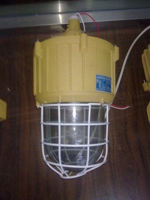 樂清廠家生產(chǎn)防爆燈BAD82 專業(yè)防爆照明解決方案