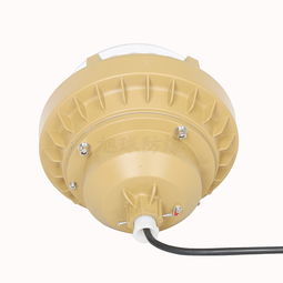 專業(yè)LED防爆燈生產(chǎn)商 安全照明的保障