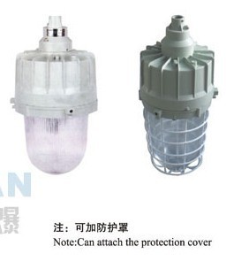 粉塵防爆燈產(chǎn)品解析 功率、外形尺寸與選購(gòu)指南